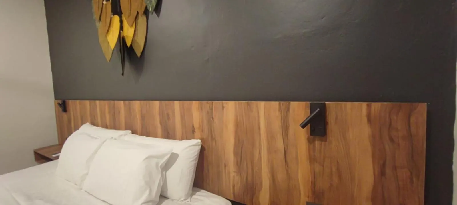 Hotel Ha Garden Gallery - 5Th Avenue Playa del Carmen
