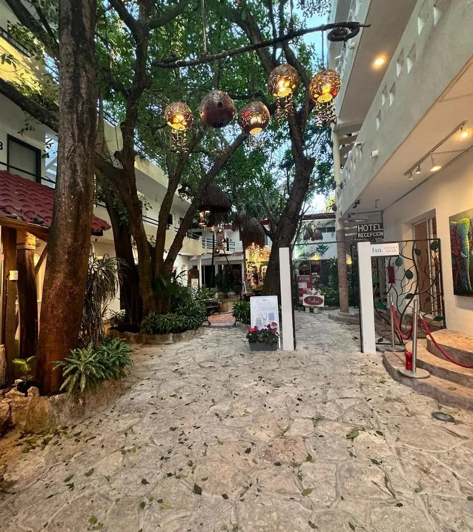 Hotel Ha Garden Gallery - 5Th Avenue Playa del Carmen