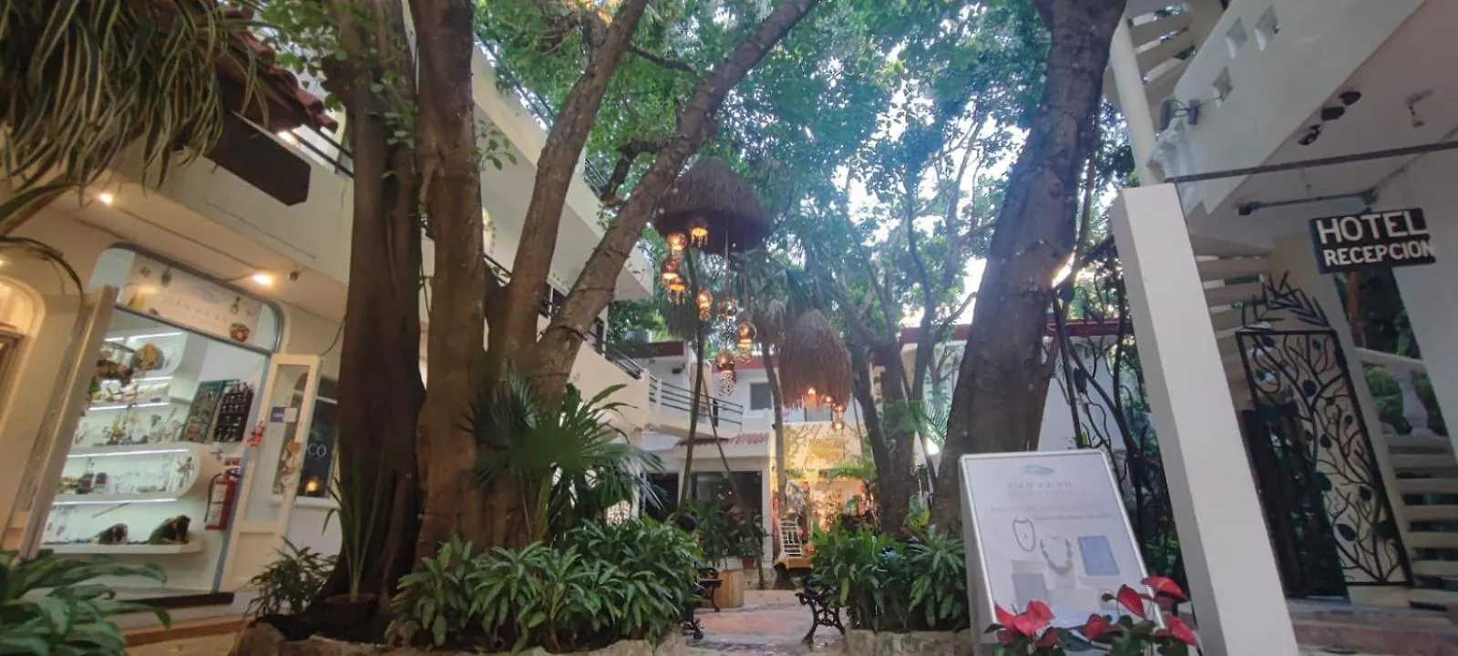 Hotel Ha Garden Gallery - 5Th Avenue Playa del Carmen Mexico