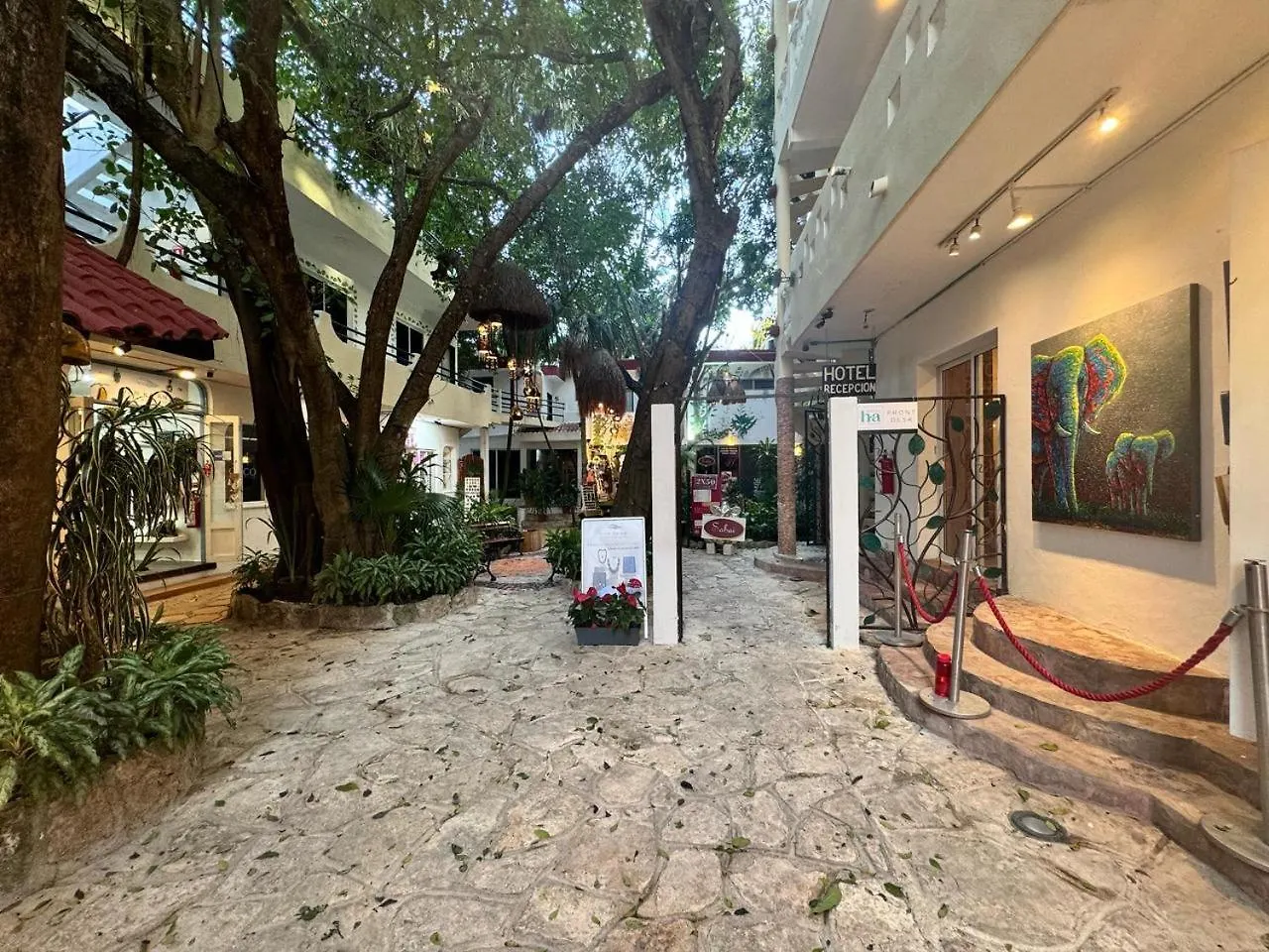 Hotel Ha Garden Gallery - 5Th Avenue Playa del Carmen