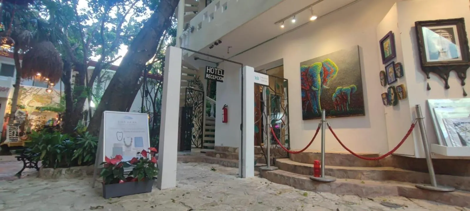Hotel Ha Garden Gallery - 5Th Avenue Playa del Carmen
