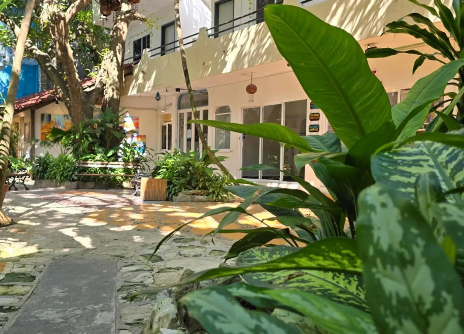 Hotel Ha Garden Gallery - 5Th Avenue Playa del Carmen