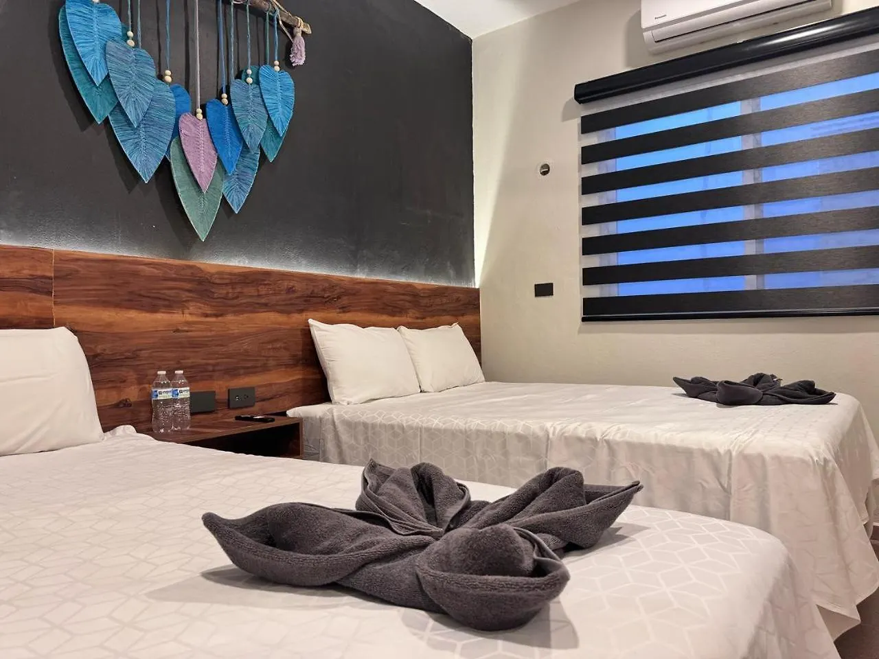 Hotel Ha Garden Gallery - 5Th Avenue Playa del Carmen Mexico