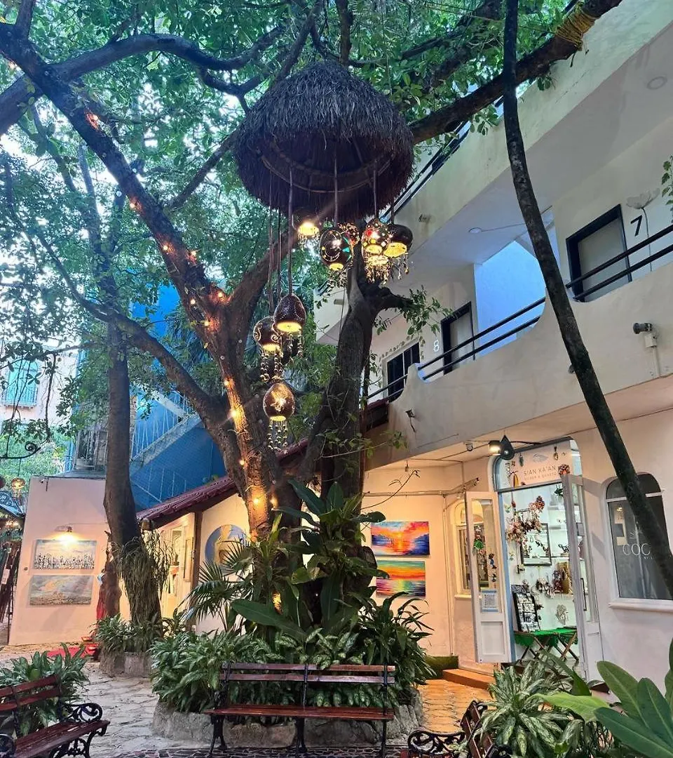 Hotel Ha Garden Gallery - 5Th Avenue Playa del Carmen